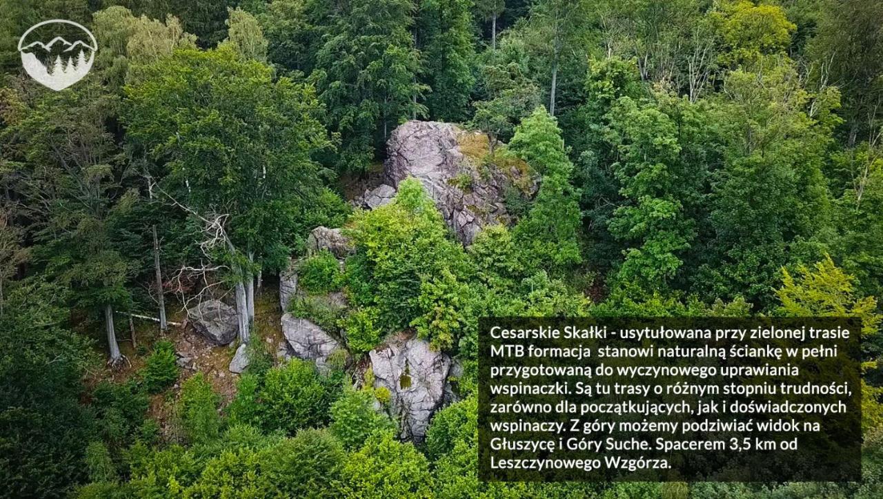 Agroturystyka Leszczynowe Wzgórze Gluszyca Exterior foto