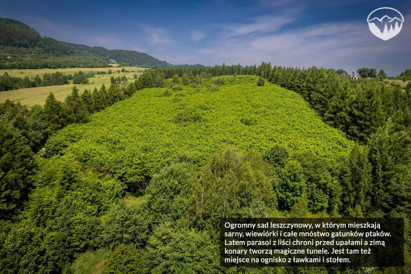 Agroturystyka Leszczynowe Wzgórze Gluszyca Exterior foto